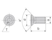 Lapka rögzítő torx csavarok
