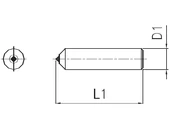 Korongszabályzó gyémánt - D12/150 mm Ct 0,50 - CG