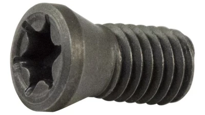 Torx csavar M2.5X0,45 - D3.90 L/6.00 mm T8